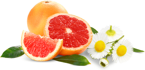 quirche zorche candles, scented wax, scented melt, fragrant wax, fragrant melt, wick, wax, melt, wax melts, wax fragrance, home fragrance, decor, fragrance, oil burner, chamomile, grapefruit, yellow melt, yellow