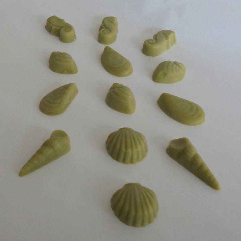 quirche zorche candles, scented wax, scented melt, fragrant wax, fragrant melt, wick, wax, melt, wax melts, wax fragrance, home fragrance, decor, fragrance, oil burner, exotic, woods, green, seashells